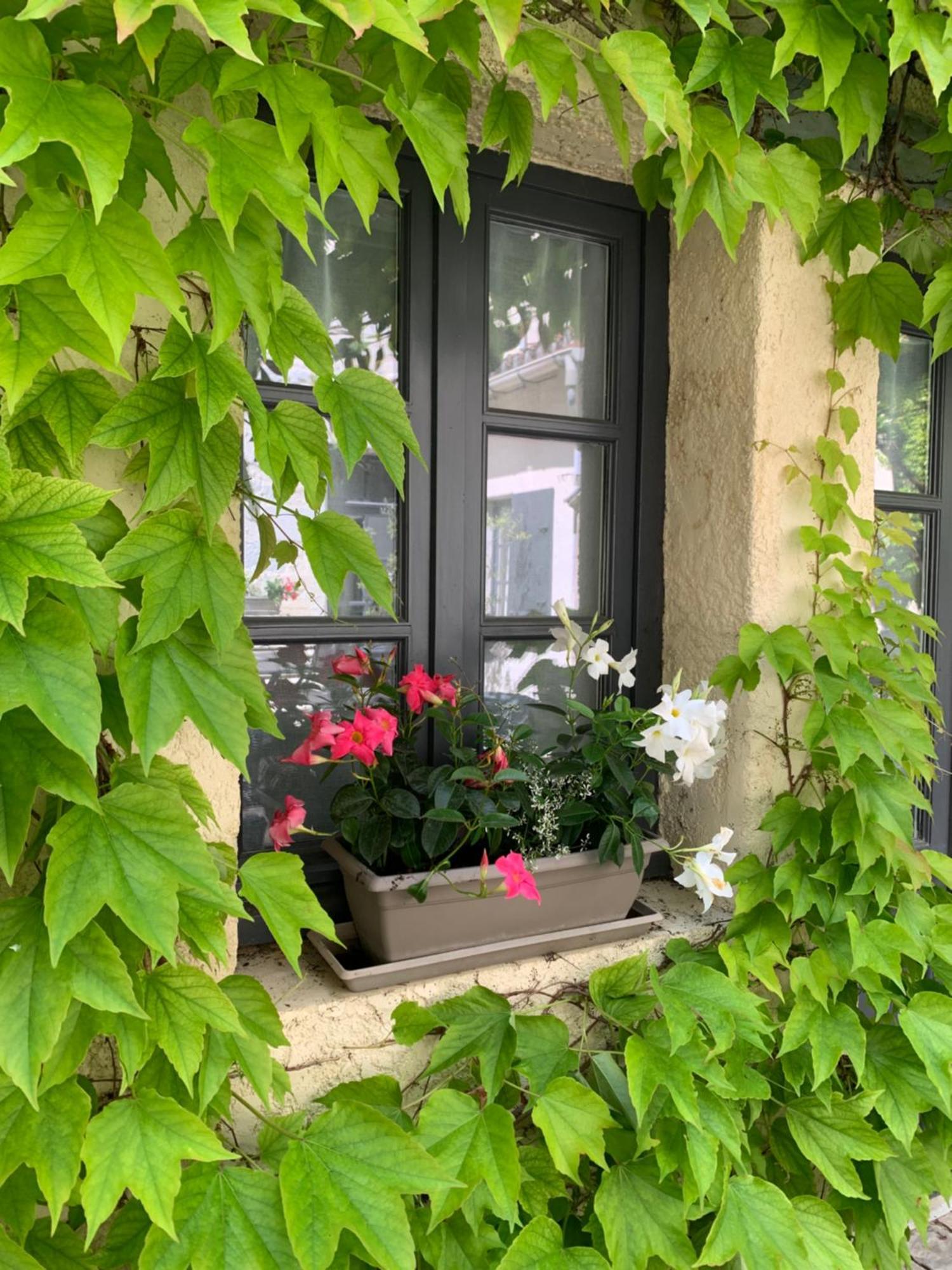 Mcm Chalais (Charente)